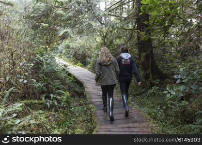 Tourists walking on boardwalk in a forest, Pacific Rim National Park Reserve, Tofino, Vancouver Island, British Columbia, Canada