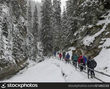 Tourists walking on snow covered trail in canyon, Johnston Canyon, Banff National Park, Alberta, Canada