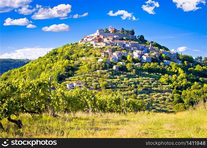Town of Motovun on picturesque vineyards hill, Istria region of Croatia