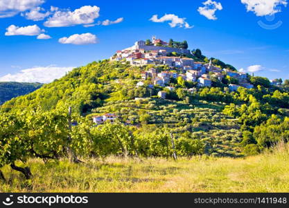 Town of Motovun on picturesque vineyards hill, Istria region of Croatia