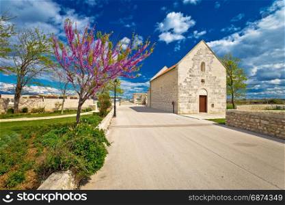 Town of Nin old stone street springtime view, Dalmatia region of Croatia