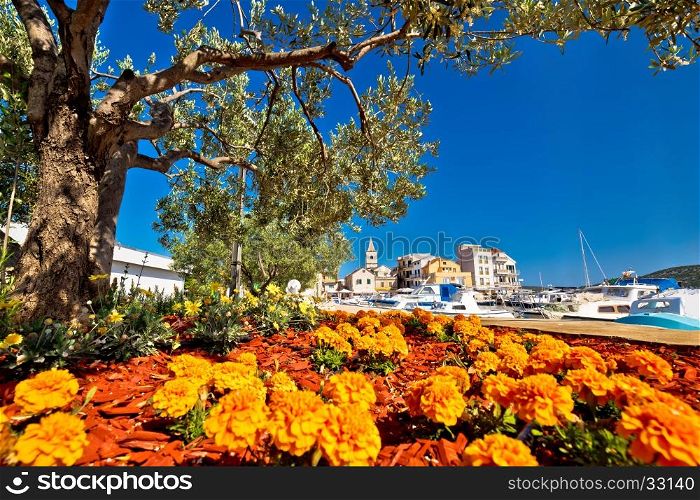 Town of Pirovac flowers and olive tree view, coast of Dalmatia, Croatia