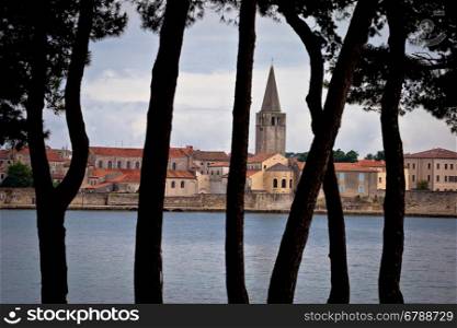 Town of Porec pine trees view, Istria, Croatia