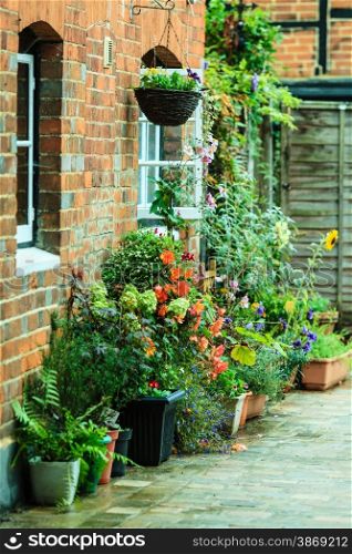 town street with pots of flowers in England