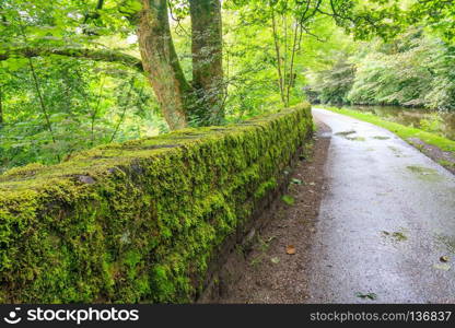 Towpath and green moss growing on stone wall, Huddersfield Narrow Canal, Uppermill, Oldham Lancashire, England, United Kingdom, UK