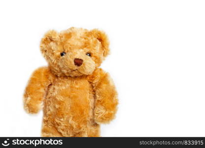 Toy brown bear on white background. Copy space