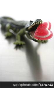Toy cocodrile, aligator with candy Valentine red heart in his jaws