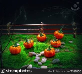 Toy pumpkins on artificial grass depict a night garden for Halloween. Dark Pumpkin Garden