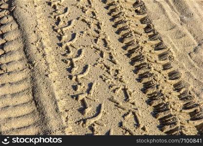 Traces of different car tires on the sand of the sea beach. Close up