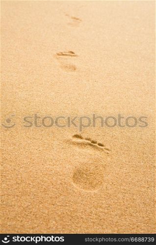 Traces of the person on yellow sand on a beachTraces of the person on yellow sand on a beach