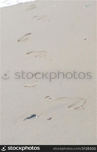 Traces on sea wet sand