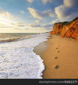 Traces on th sea shore. Nature composition.