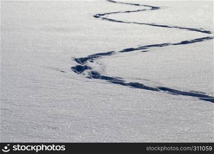 Traces zigzag on snowdrifts of snow after the last person or group of people in the distance, traces in winter. Traces zigzag on snowdrifts