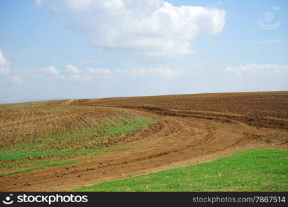 Track and plowed land in Israel