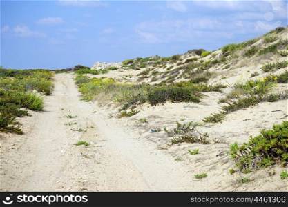Track and sand dunes on the beach