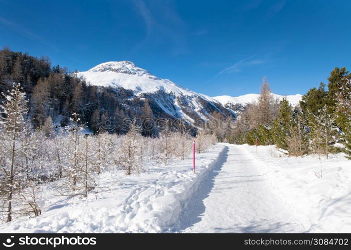 Track built on the snow for a hiking trail.