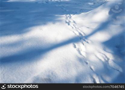 Track from the tracks on the snow-covered glade. Snowy forest clearing with traces