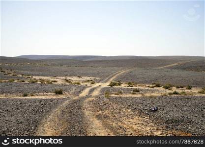 Track in the Negev desert in Israel