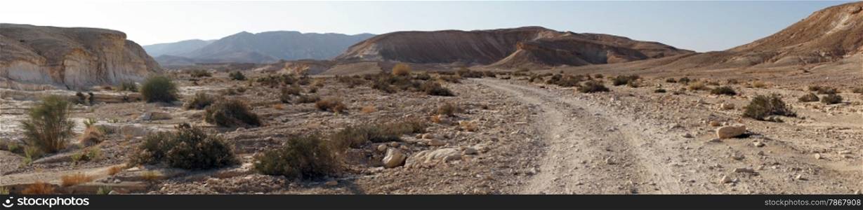 Track in wide wadi in NEgev desert, Israel