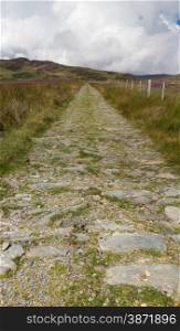 Track into distance, heather wilderness. Conwy, Snowdonia National park, Gwynedd, Wales, United Kingdom