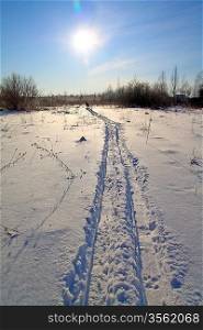 track left by skis in wood