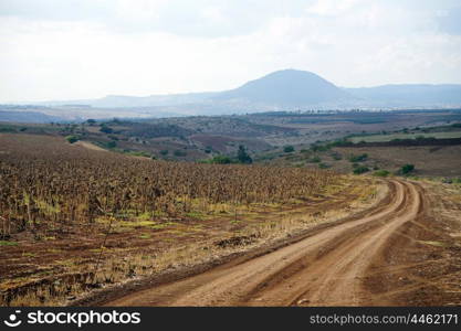 Track near field on the way to Tavor mount, Israel