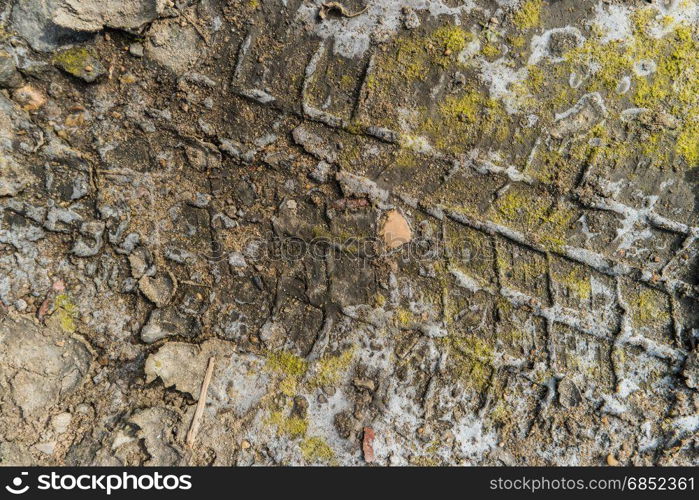 Track of the tyre on the mud floor nature background