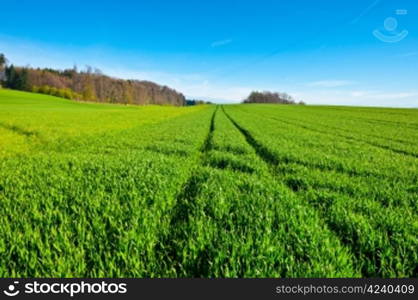 Track of Tractor in the Green Grass, Swiss Alps