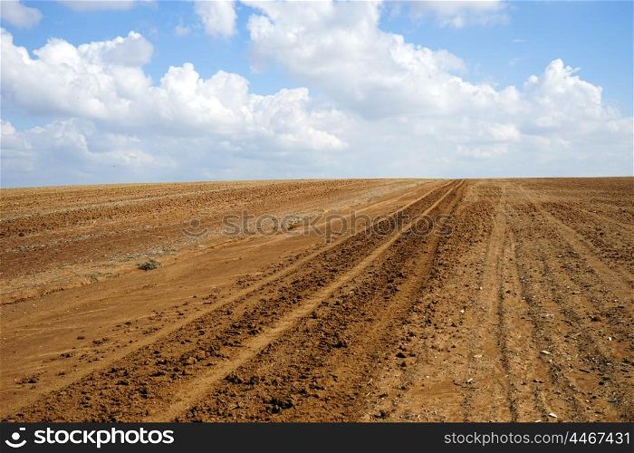 Track on the plowed land in Israel