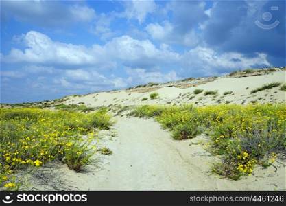 Track on the sand near dunes in Israel