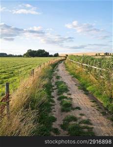 Track through fields in countryside landscape on Summer day