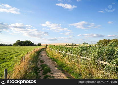 Track through fields in countryside landscape on Summer day