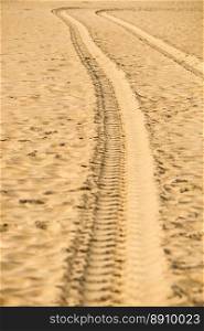 tracks of a military truck in sand