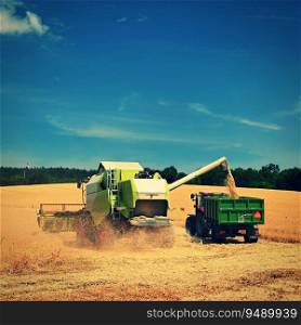 Tractor and combine harvester in the field during grain harvest. End of summer and harvest time. Concept for agriculture and industry. Landscape with field and blue sky with sun. 