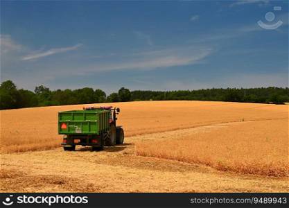 Tractor and combine harvester in the field during grain harvest. End of summer and harvest time. Concept for agriculture and industry. Landscape with field and blue sky with sun. 
