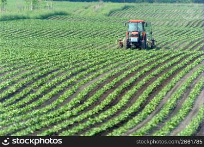 Tractor fertilising a field