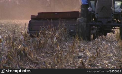 tractor in the field harvests.