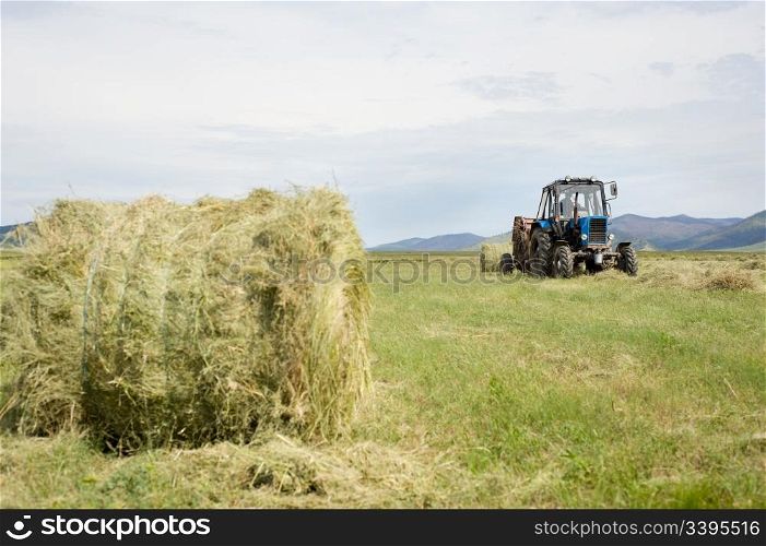 tractor is harvesting hay in the field, big hay roll in the foreground