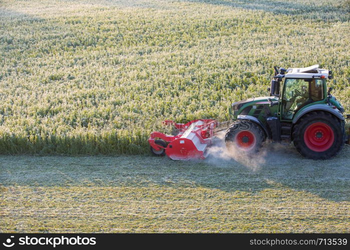 Tractor mowing the grass on the lawn in winter. Morning sun. Back lit. Side View