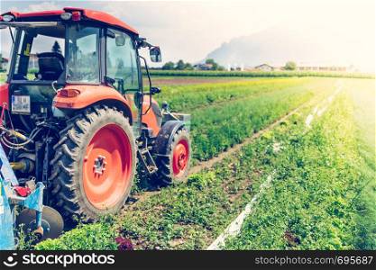 Tractor on an agriculture field, cut out