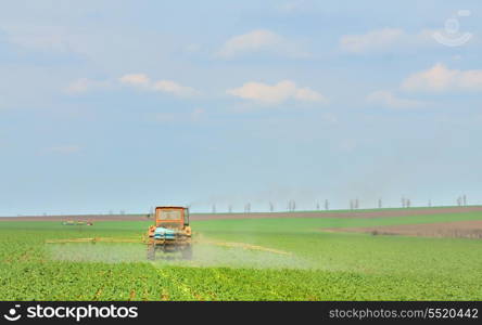 Tractor spraying a fresh green field on a farm