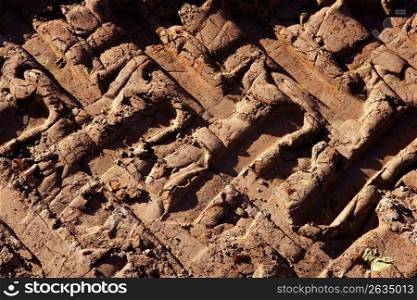 Tractor vehicle wheel tires footprint over red clay dried soil