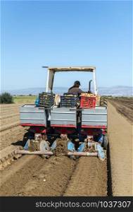 Tractor with crates planting potatoes. Automated agriculture concept for planting potatoes industrially.