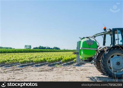 Tractor with equipment for pesticide treatment in a field of young vine plants