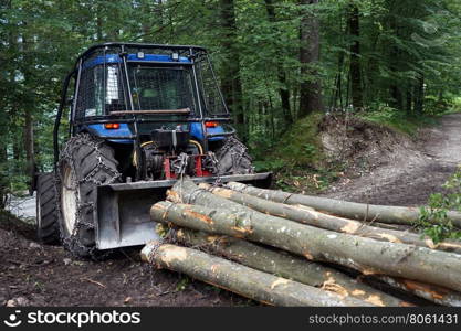 Tractor with logs on the dirt road in forest, Slovenia