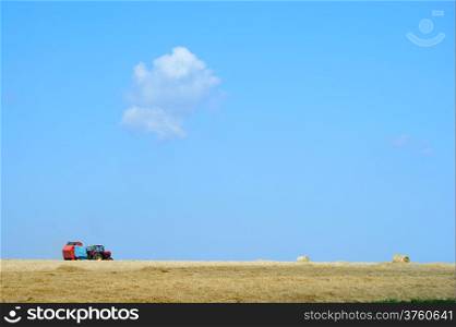 Tractor work in field. Blue sky.