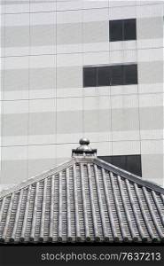 Traditional and Modern Architecture in Tokyo. Japanese Diary