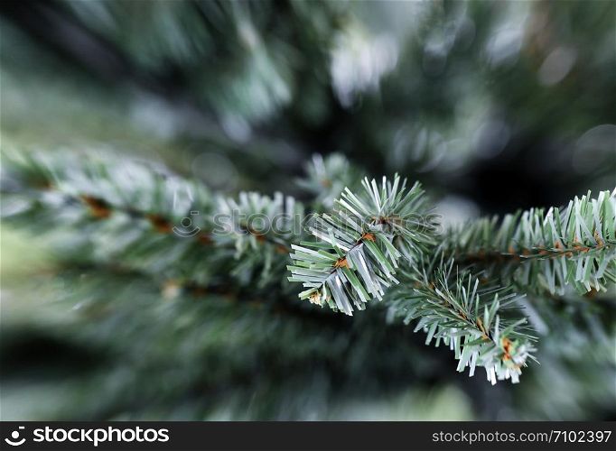 Traditional artificial Christmas tree in close up layout