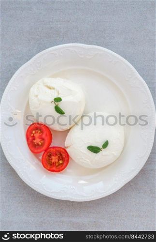 Traditional buffolo milk mozzarella cheese on the plate