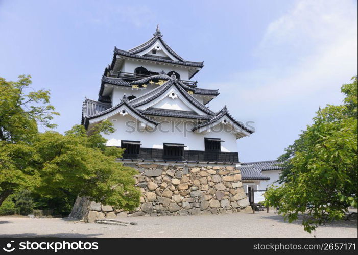 Traditional building